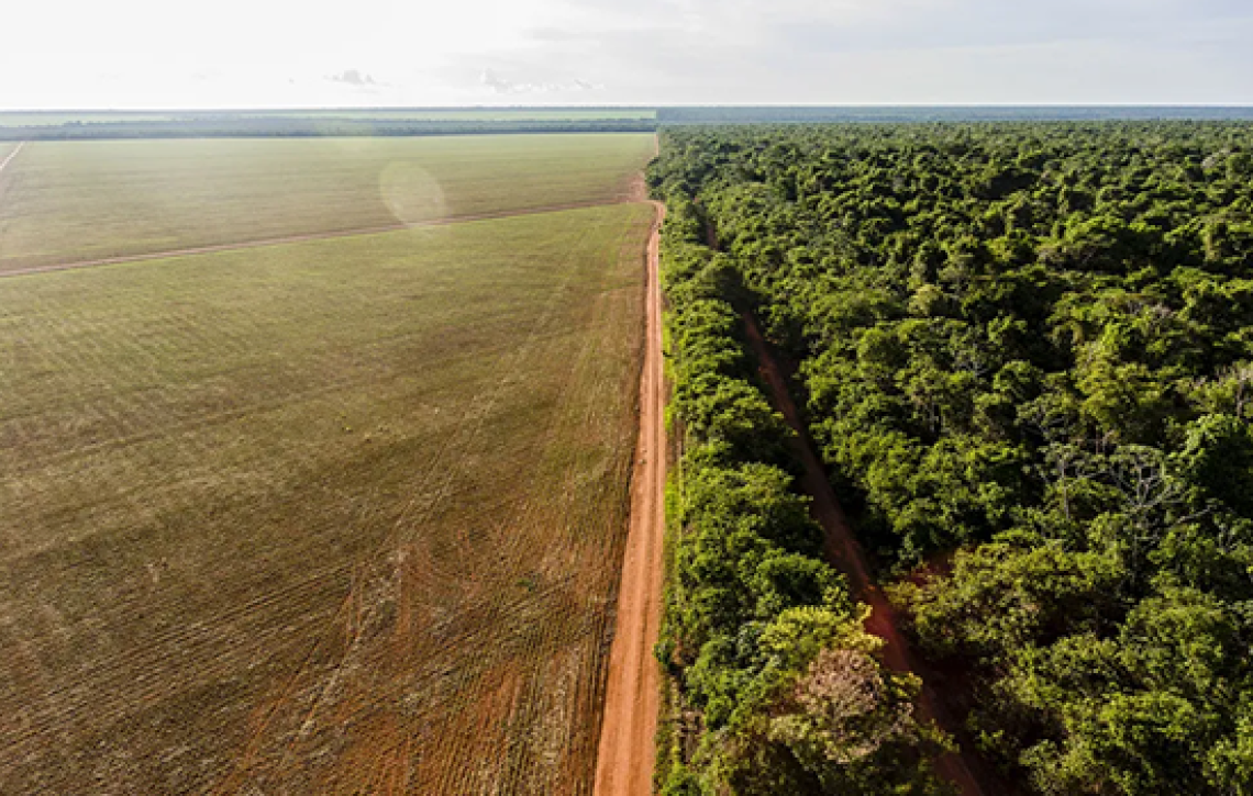 Comissão de Relações Exteriores e Defesa Nacional aprova ratificação de registro imobiliário de terra em faixa de fronteira