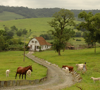 Perda da propriedade rural extingue arrendamento e impede permanência do arrendatário no imóvel