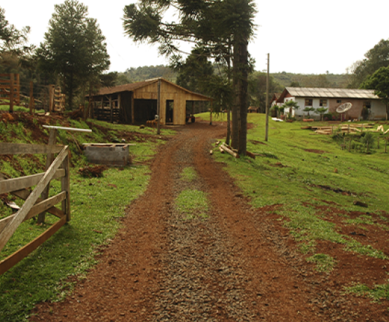 Estremação de imóvel rural abaixo da fração mínima de parcelamento: O impasse da regularização fundiária - por Fellipe Duarte