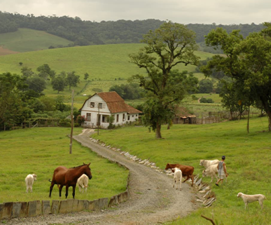Perda da propriedade rural extingue arrendamento e impede permanência do arrendatário no imóvel