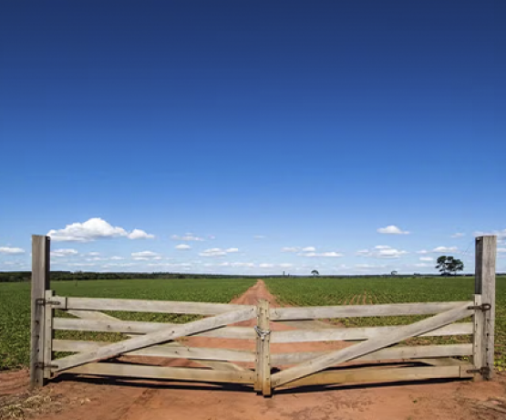 Só falta sanção presidencial: Câmara aprova regularização para imóveis em faixa de fronteira