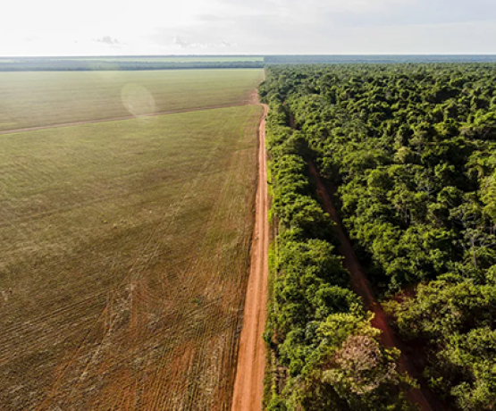 Comissão de Relações Exteriores e Defesa Nacional aprova ratificação de registro imobiliário de terra em faixa de fronteira