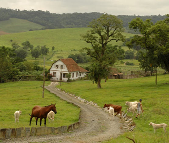 Perda da propriedade rural extingue arrendamento e impede permanência do arrendatário no imóvel